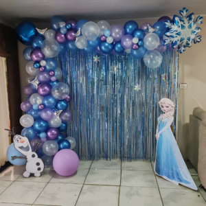 Elsa Frozen theme decoration