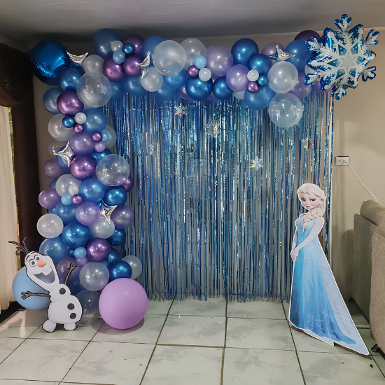 Elsa Frozen theme decoration