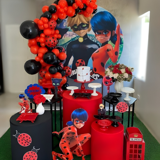 Ladybug Miraculous theme decoration